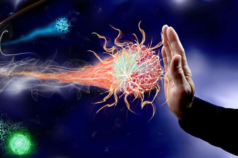 Immune Balance Program