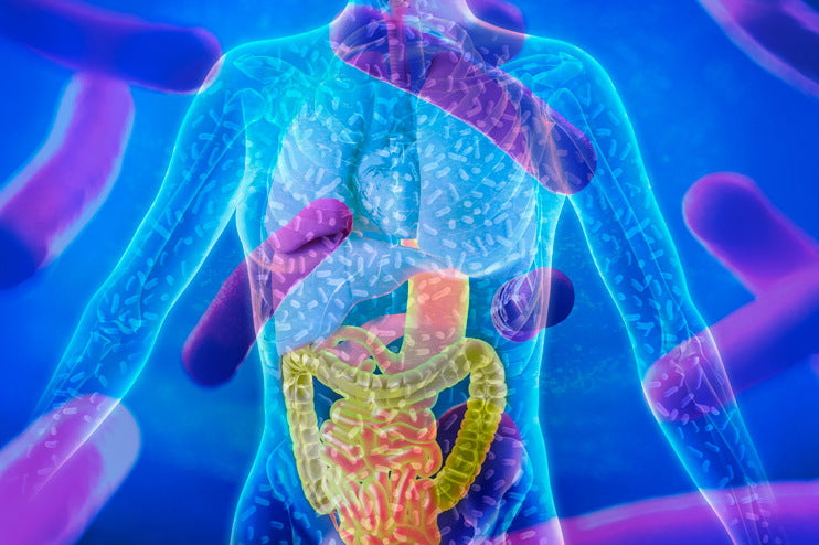 Microbiome Program